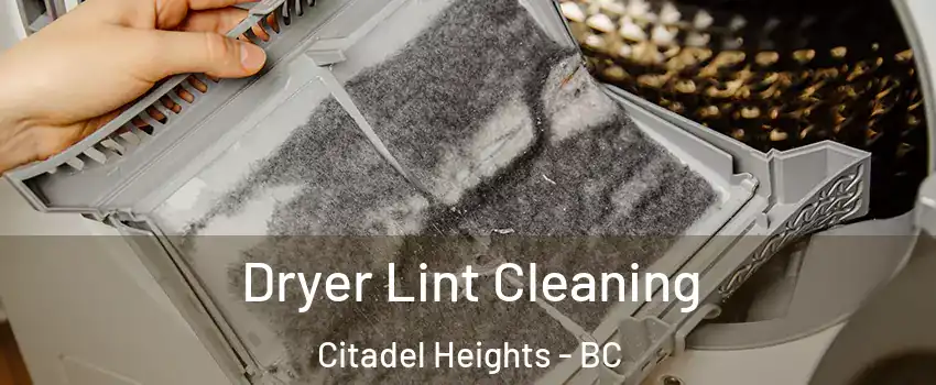  Dryer Lint Cleaning Citadel Heights - BC