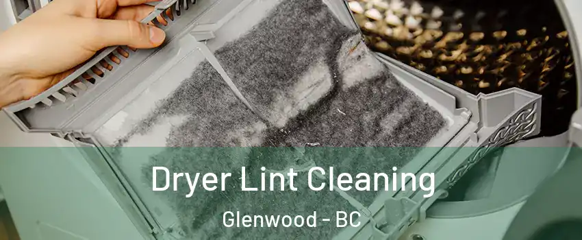  Dryer Lint Cleaning Glenwood - BC
