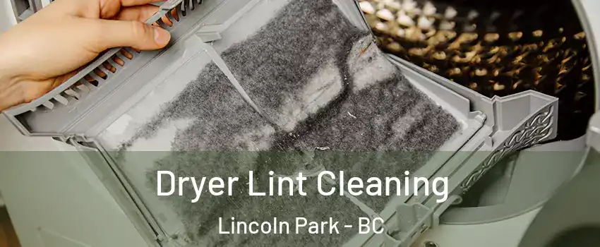  Dryer Lint Cleaning Lincoln Park - BC