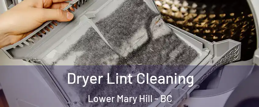  Dryer Lint Cleaning Lower Mary Hill - BC