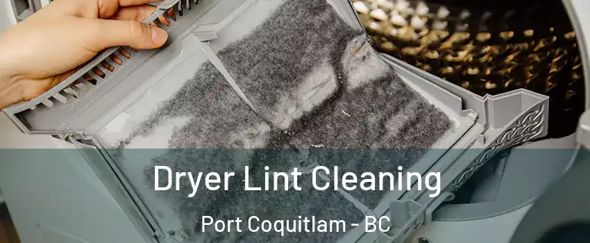  Dryer Lint Cleaning Port Coquitlam - BC