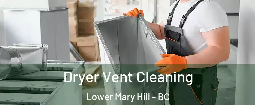  Dryer Vent Cleaning Lower Mary Hill - BC
