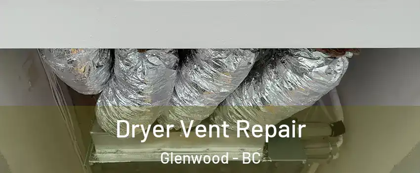  Dryer Vent Repair Glenwood - BC
