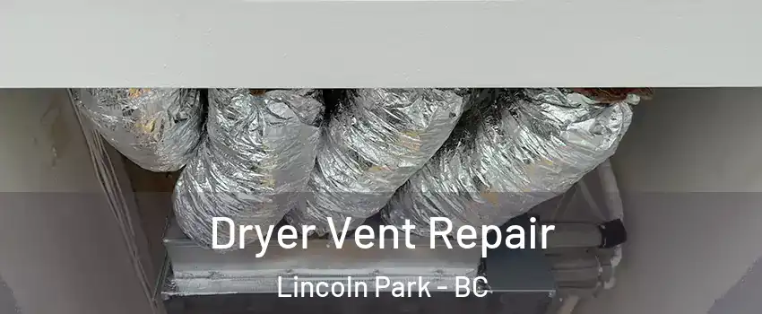  Dryer Vent Repair Lincoln Park - BC