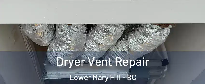  Dryer Vent Repair Lower Mary Hill - BC