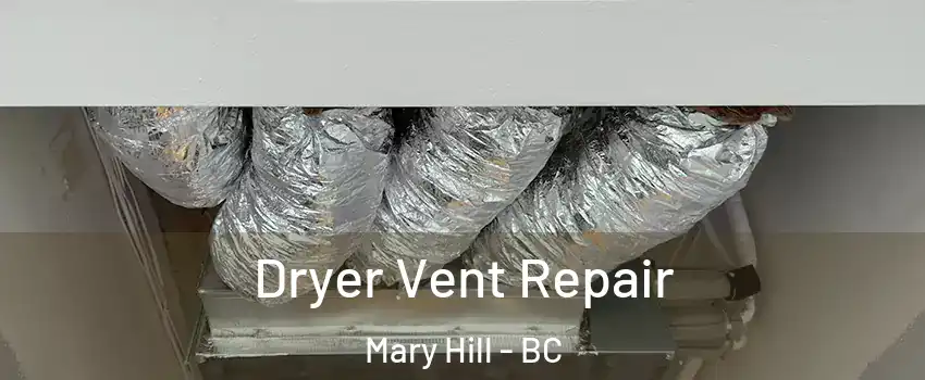  Dryer Vent Repair Mary Hill - BC