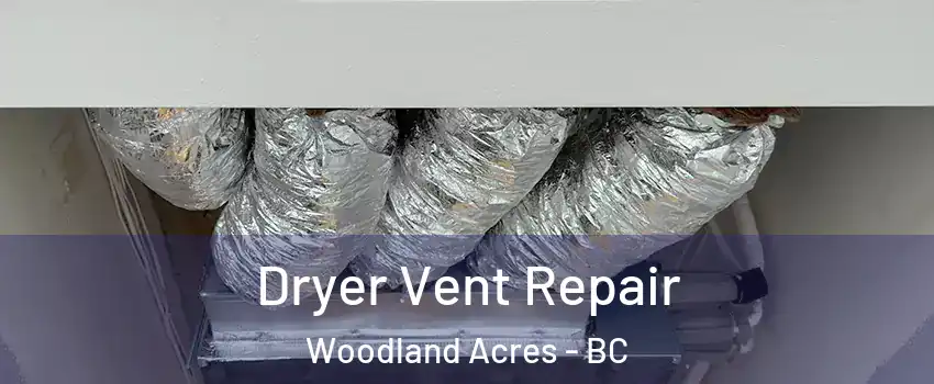  Dryer Vent Repair Woodland Acres - BC