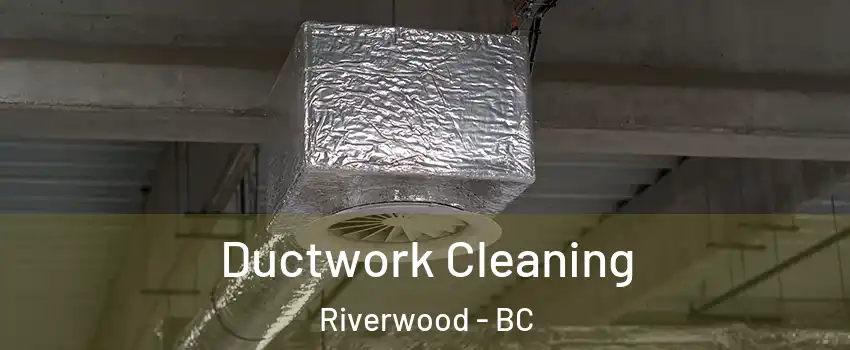  Ductwork Cleaning Riverwood - BC