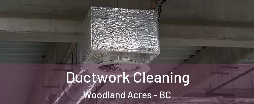  Ductwork Cleaning Woodland Acres - BC