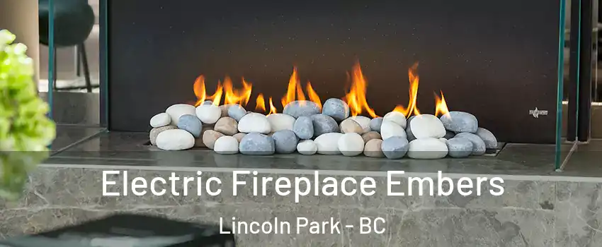  Electric Fireplace Embers Lincoln Park - BC
