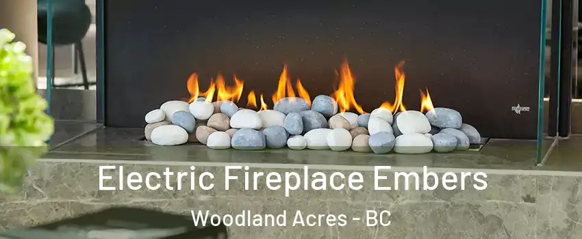 Electric Fireplace Embers Woodland Acres - BC