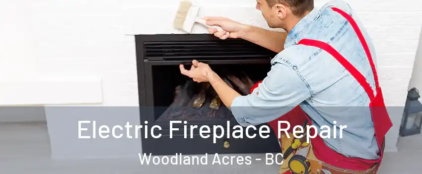  Electric Fireplace Repair Woodland Acres - BC
