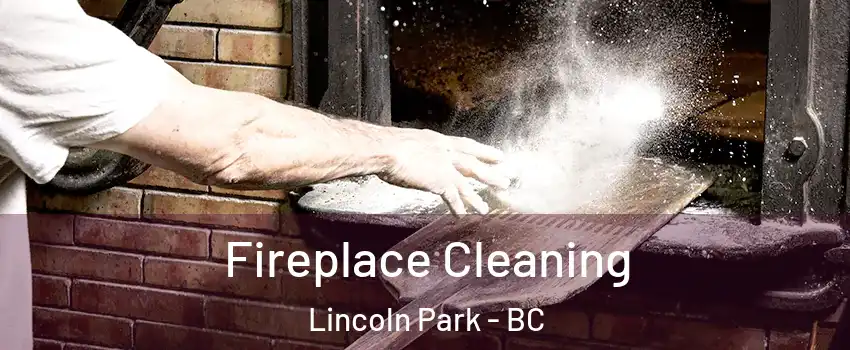  Fireplace Cleaning Lincoln Park - BC