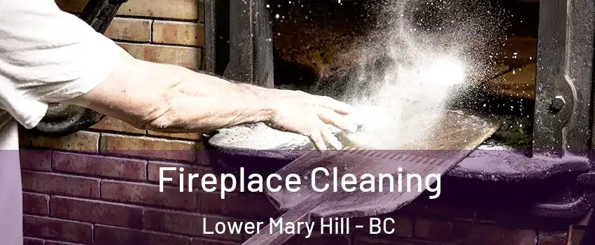  Fireplace Cleaning Lower Mary Hill - BC