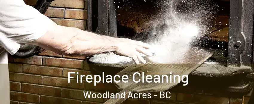  Fireplace Cleaning Woodland Acres - BC