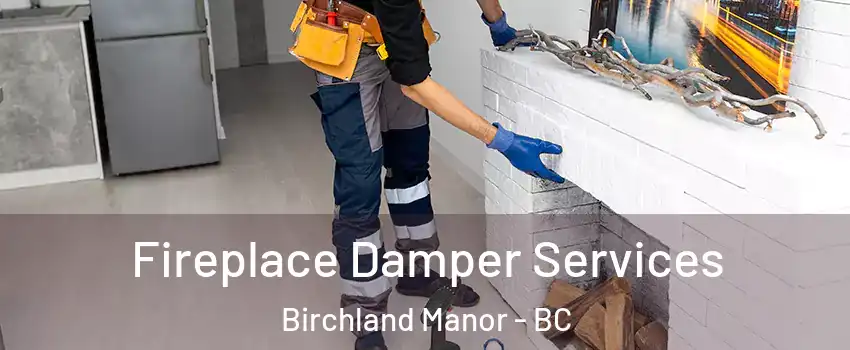 Fireplace Damper Services Birchland Manor - BC