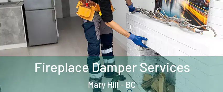 Fireplace Damper Services Mary Hill - BC
