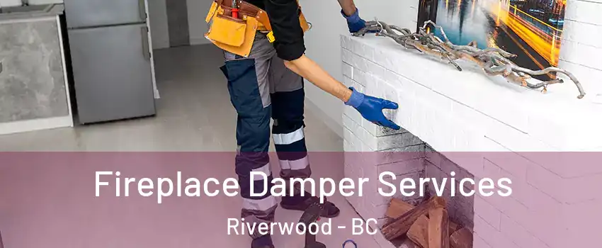 Fireplace Damper Services Riverwood - BC