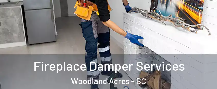 Fireplace Damper Services Woodland Acres - BC
