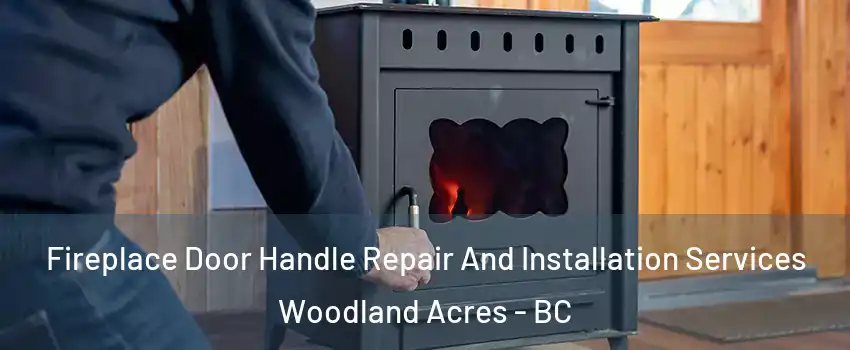 Fireplace Door Handle Repair And Installation Services Woodland Acres - BC