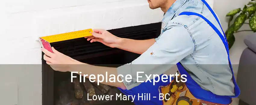 Fireplace Experts Lower Mary Hill - BC