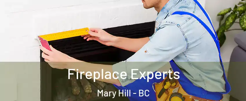  Fireplace Experts Mary Hill - BC