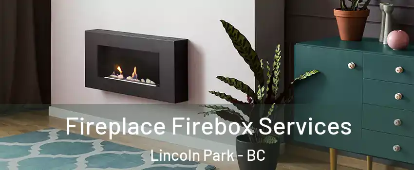  Fireplace Firebox Services Lincoln Park - BC