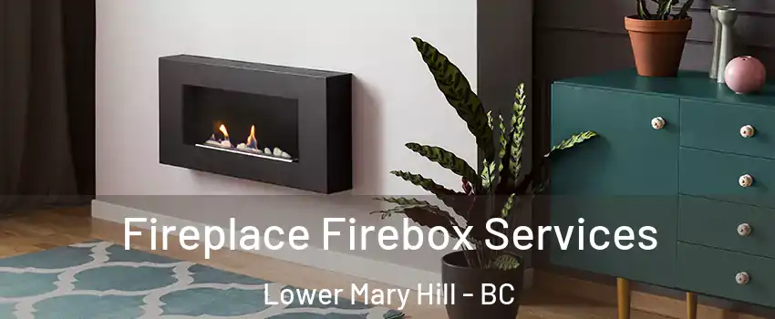  Fireplace Firebox Services Lower Mary Hill - BC