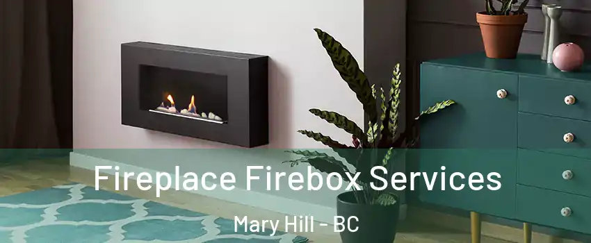  Fireplace Firebox Services Mary Hill - BC