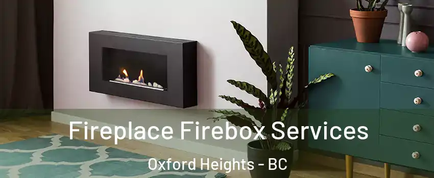  Fireplace Firebox Services Oxford Heights - BC