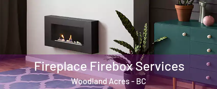  Fireplace Firebox Services Woodland Acres - BC