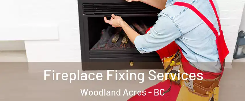  Fireplace Fixing Services Woodland Acres - BC