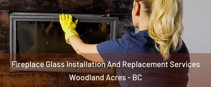  Fireplace Glass Installation And Replacement Services Woodland Acres - BC