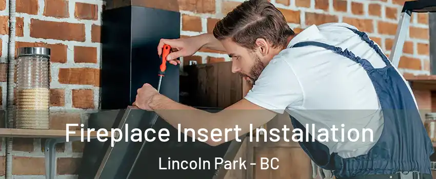  Fireplace Insert Installation Lincoln Park - BC