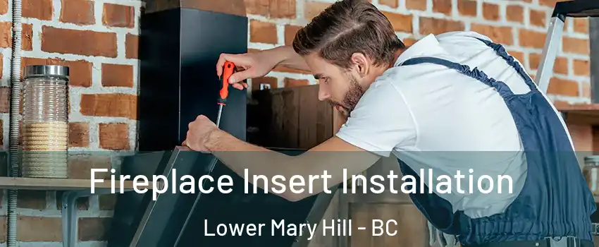  Fireplace Insert Installation Lower Mary Hill - BC