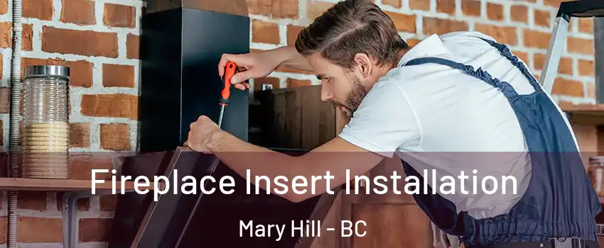  Fireplace Insert Installation Mary Hill - BC