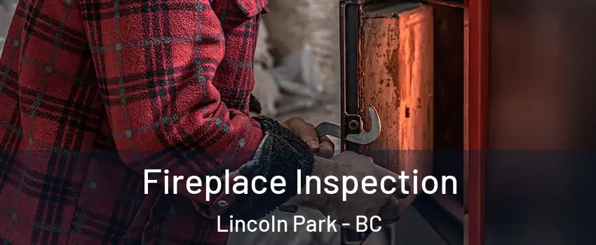  Fireplace Inspection Lincoln Park - BC