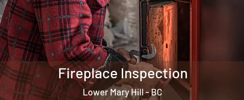  Fireplace Inspection Lower Mary Hill - BC