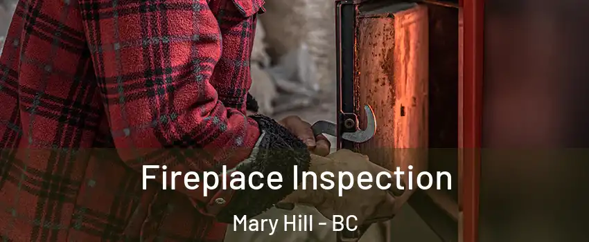  Fireplace Inspection Mary Hill - BC