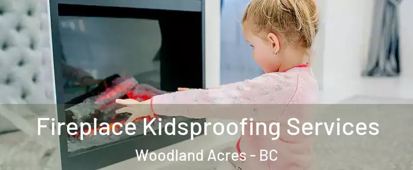  Fireplace Kidsproofing Services Woodland Acres - BC