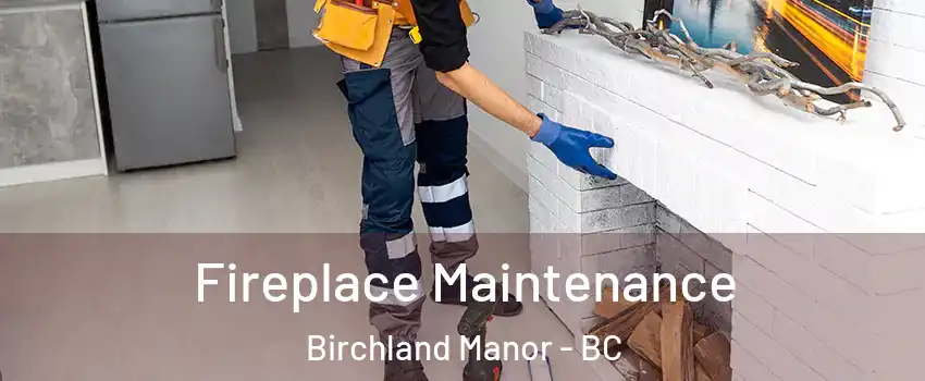  Fireplace Maintenance Birchland Manor - BC
