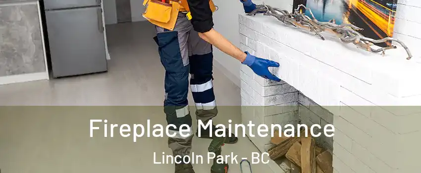  Fireplace Maintenance Lincoln Park - BC