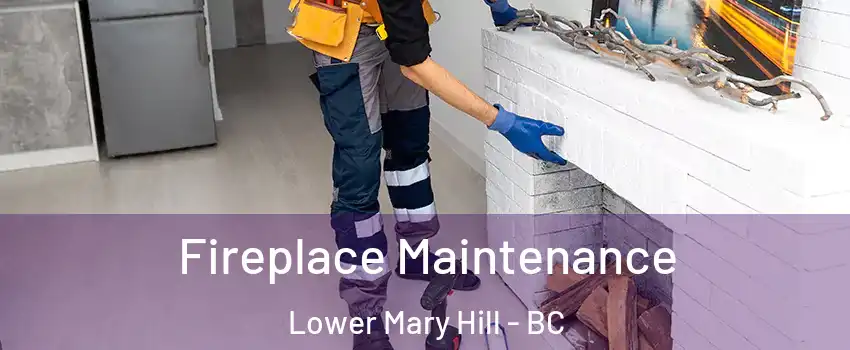  Fireplace Maintenance Lower Mary Hill - BC