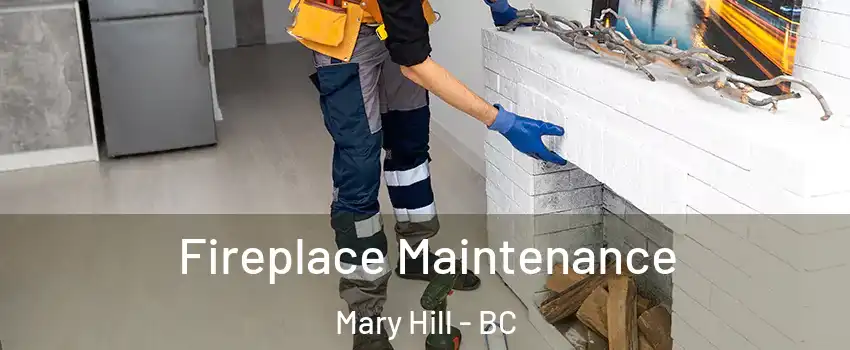  Fireplace Maintenance Mary Hill - BC