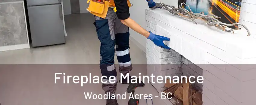  Fireplace Maintenance Woodland Acres - BC