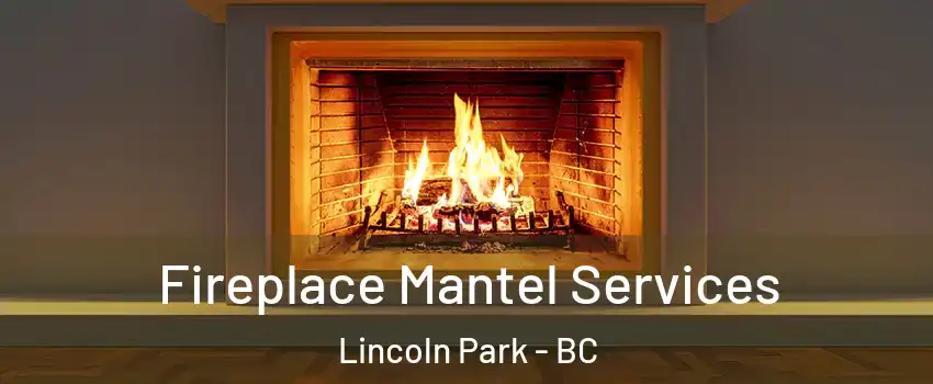  Fireplace Mantel Services Lincoln Park - BC