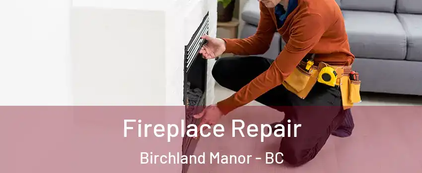  Fireplace Repair Birchland Manor - BC