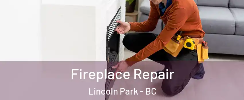  Fireplace Repair Lincoln Park - BC