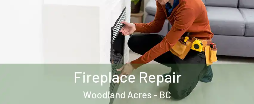  Fireplace Repair Woodland Acres - BC