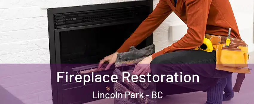  Fireplace Restoration Lincoln Park - BC